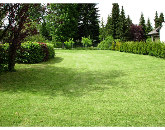 Hajek, Helga, Hartschmiedenweg 5 in Neustadt