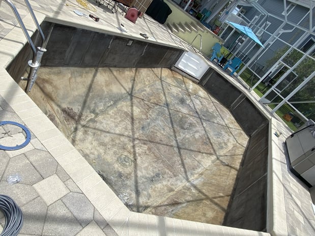 Images Paradise Palm Pools Inc