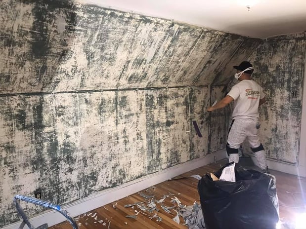 Images Corey Painting