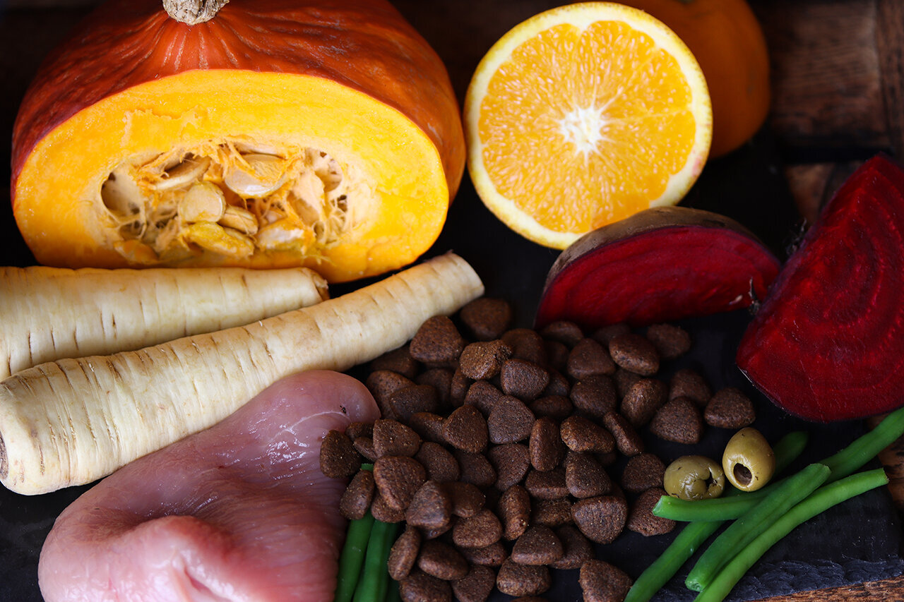 Bilder Green Pet Shop