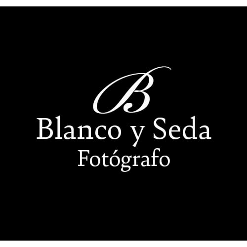Blanco y Seda Logo