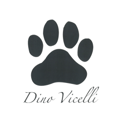 Dino Vicelli Private Eye Logo