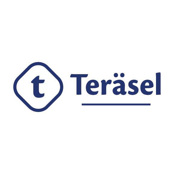 Teräsel Oy Logo