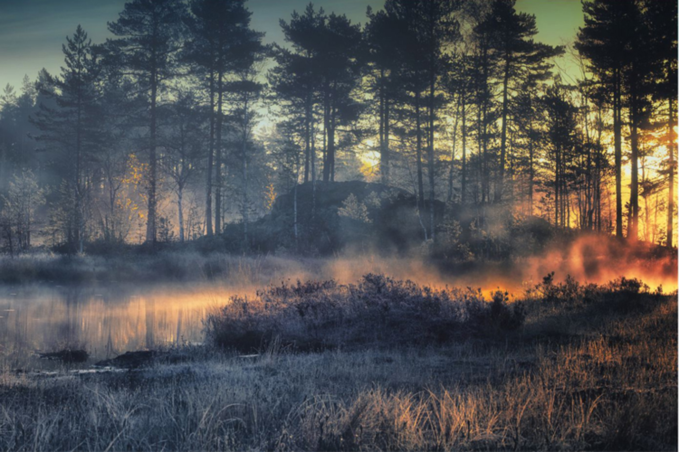 Images Rønnaug's Begravelsesbyrå
