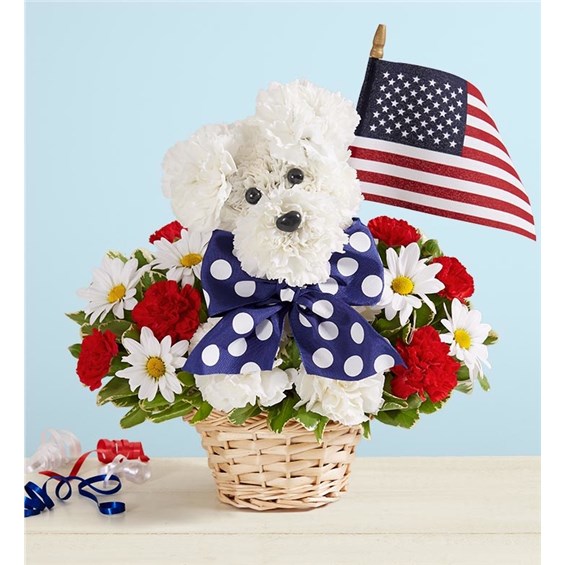 EXCLUSIVE Unleash smiles with our Yankee Doodle Doggie. Crafted from red and white blooms, this patriotic flower pup comes complete with a decorative ribbon and a mini American flag. Whether it’s to honor a brave service person in your life or celebrate a patriotic holiday in style, it’s truly original gift full of pride for the USA. • One-sided 3D arrangement with red mini carnations, white carnations and daisy poms; accented with assorted greenery • Crafted into the shape of a dog, complete with eyes, nose, decorative ribbon and 4""L mini American flag • Artistically designed in our lined wicker pet basket; measures 3.5""H x 5""D • Arrangement measures approximately 11""H x 11""W • Our florists hand-design each arrangement, so colors and varieties may vary due to local availability "