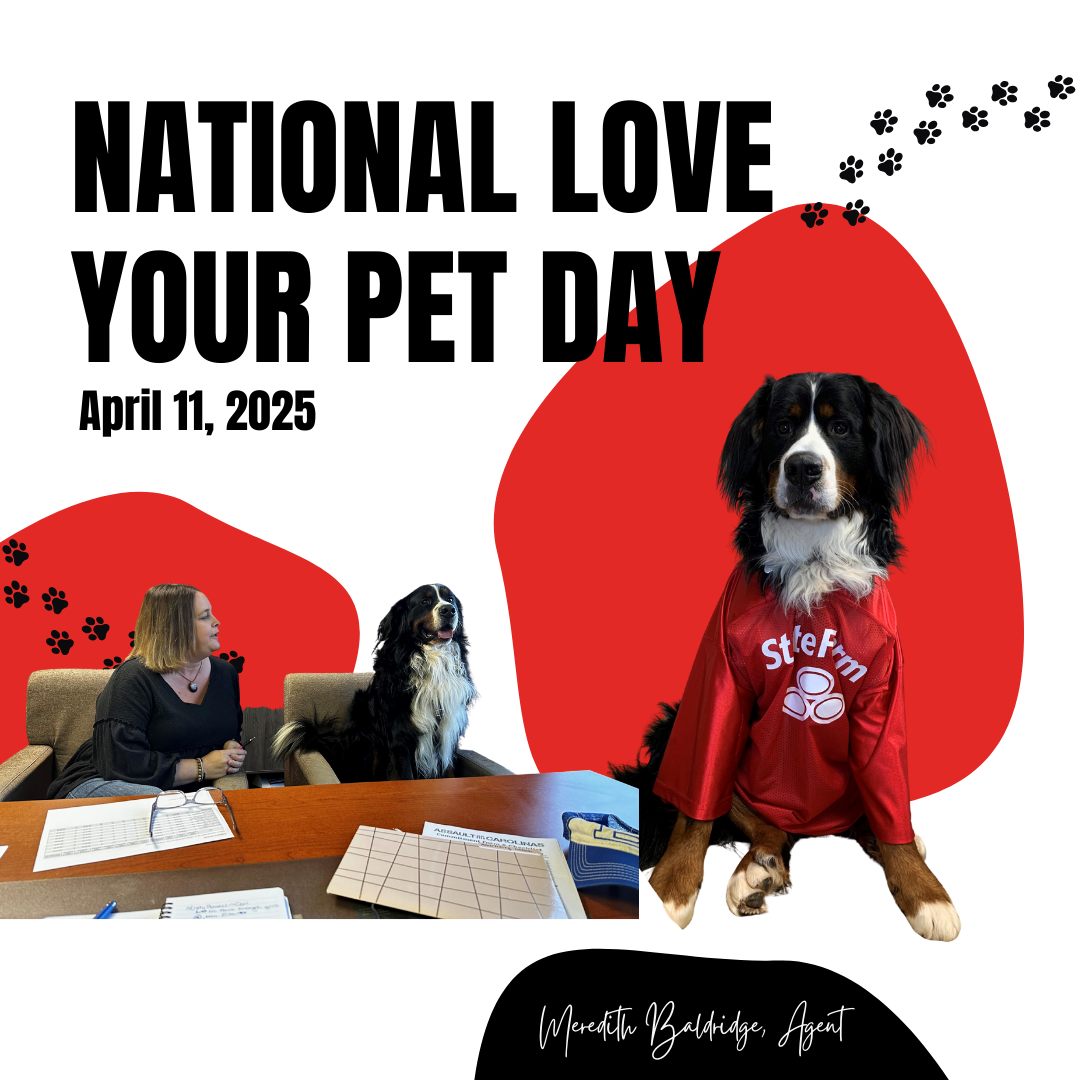 Meredith Baldridge - State Farm Insurance Agent Image