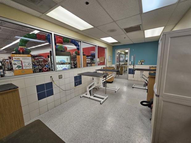 Images Petco Grooming