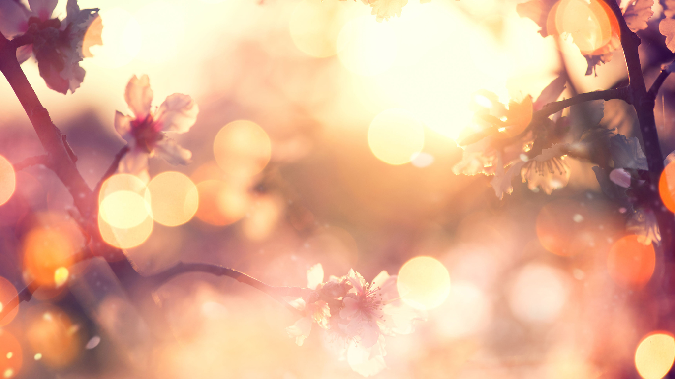 Images Hamar Begravelsesbyrå AS