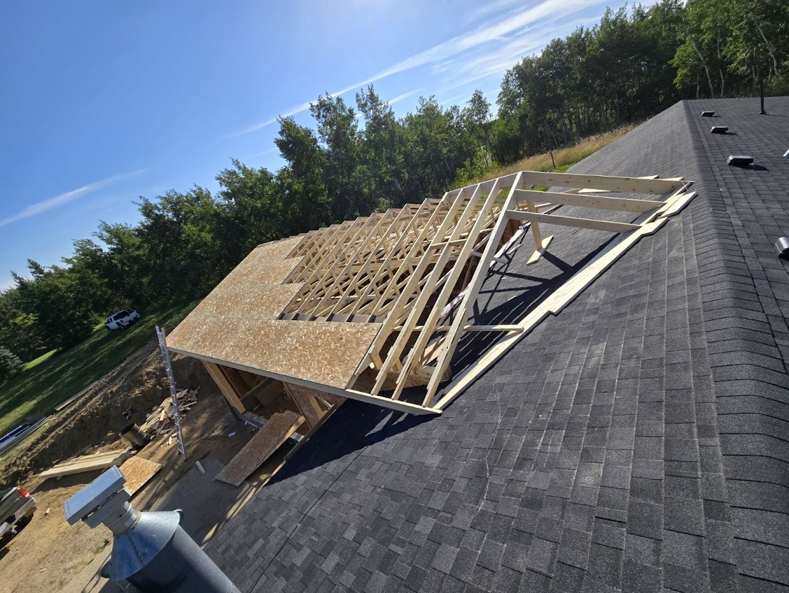 Images The Blue Spruce Builder