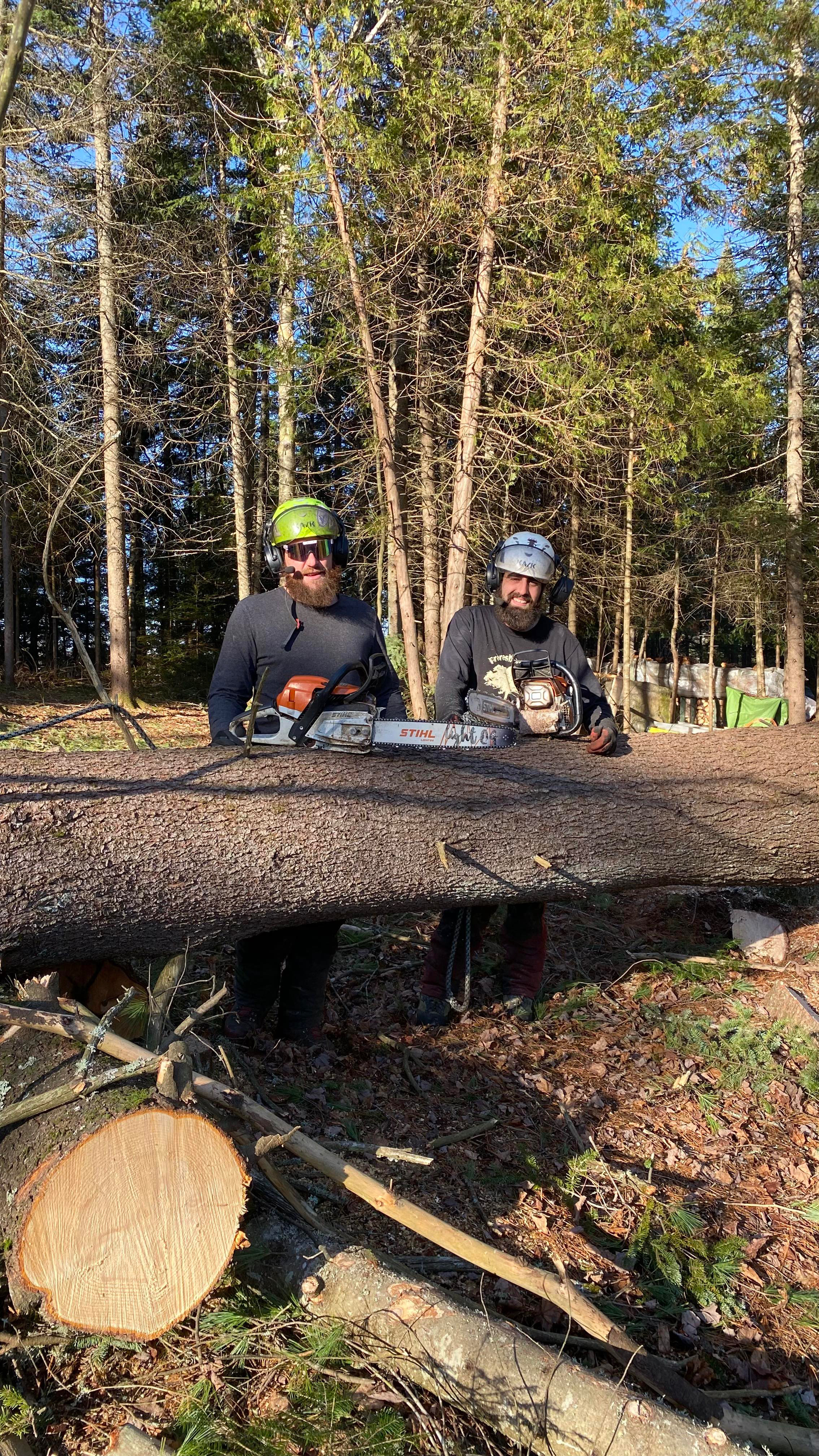 Images Élagage Frère d'Arbres