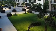 Luxe Blades Commercial artificial turf installation