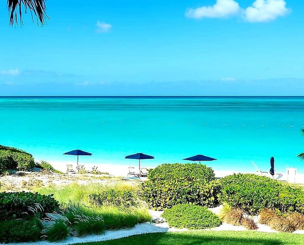 Images PMI Gulf Coast