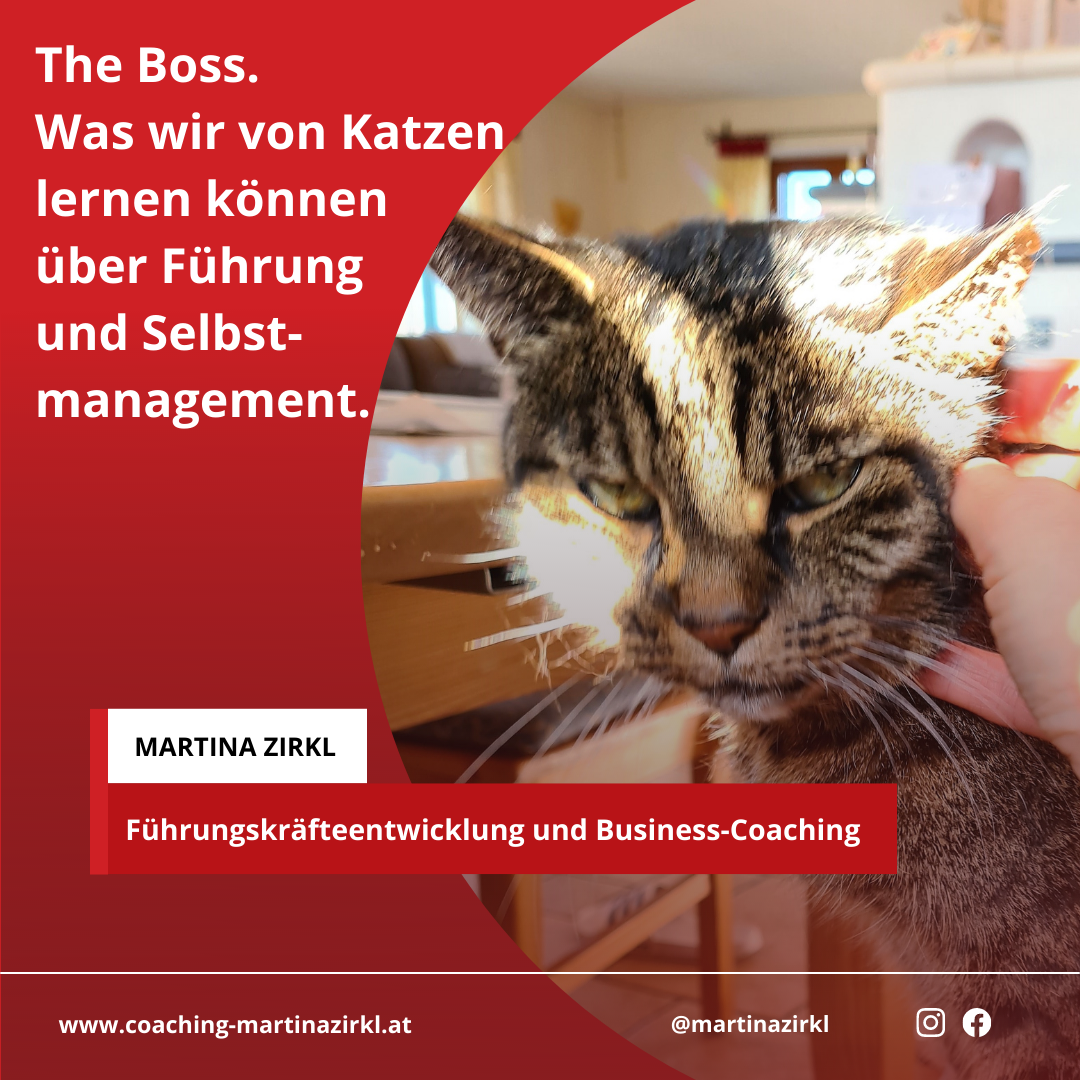 Bild 41 von Martina Zirkl Business Coaching und Beratung