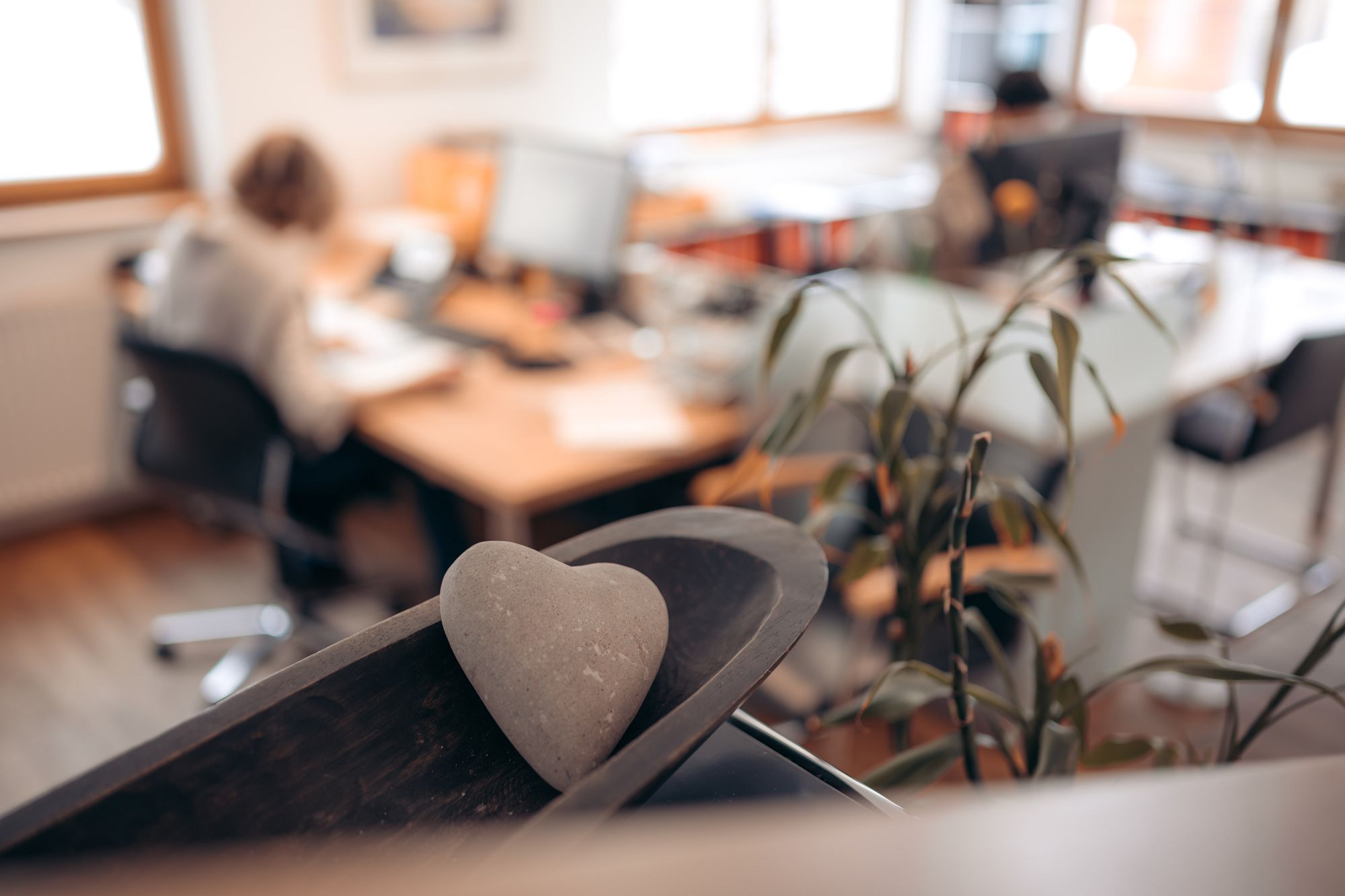 Bild 5 von Trummer & Partnerinnen Steuerberatung GmbH