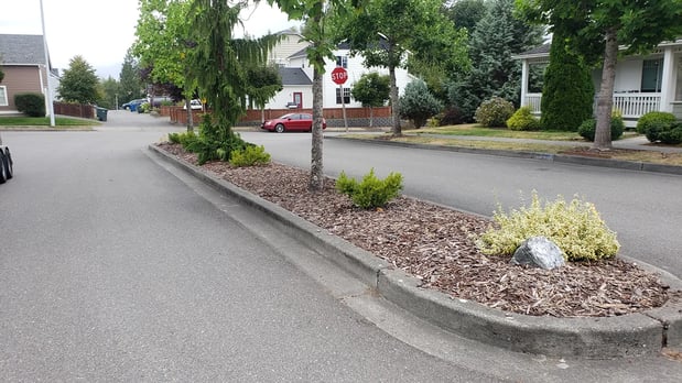 Images Real Landscaping