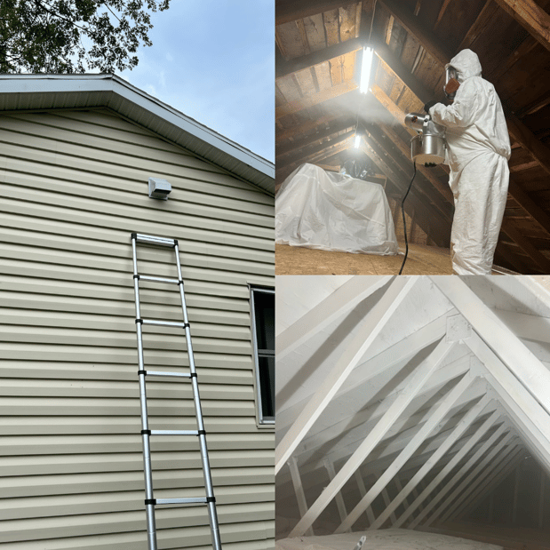 Images Quality Mold Remediation LLC