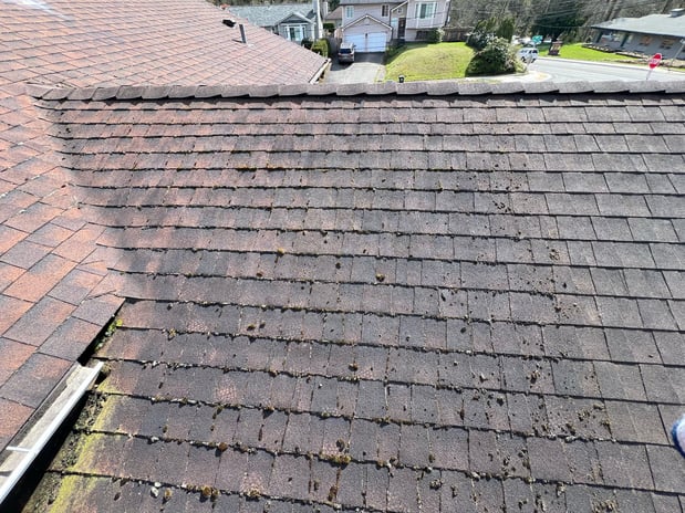 Images Vasa Construction LLC