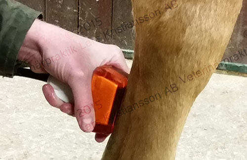 Images Veterinärpraktik Lars Kristiansson AB