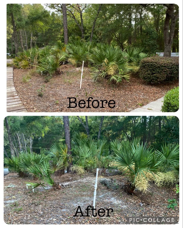 Images Clipped To Perfection Lawn Care and Landscaping