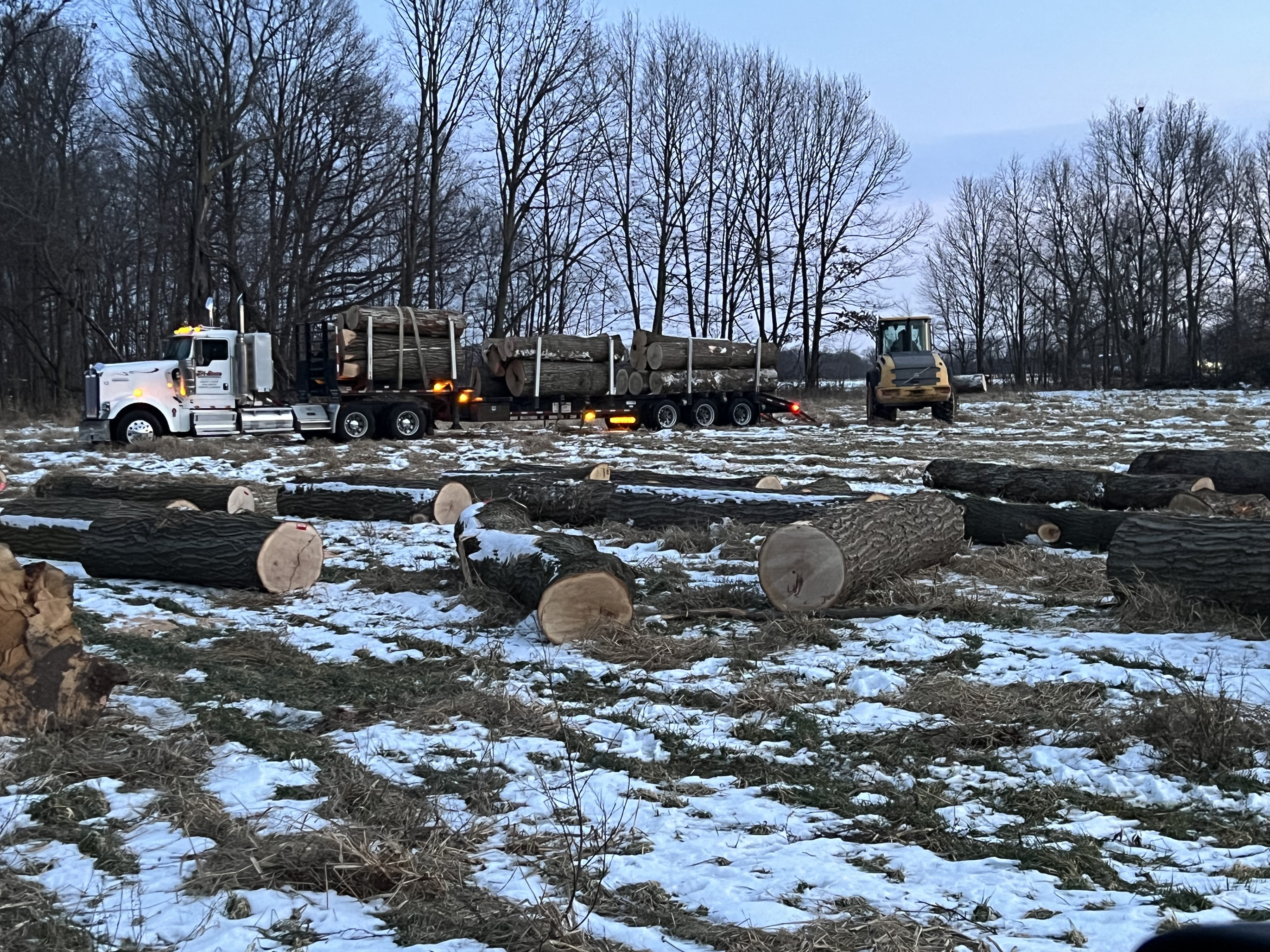 Woodman's Tree Service Image