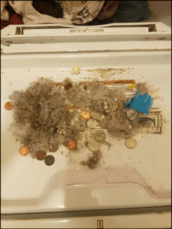 Images Lint Doctor