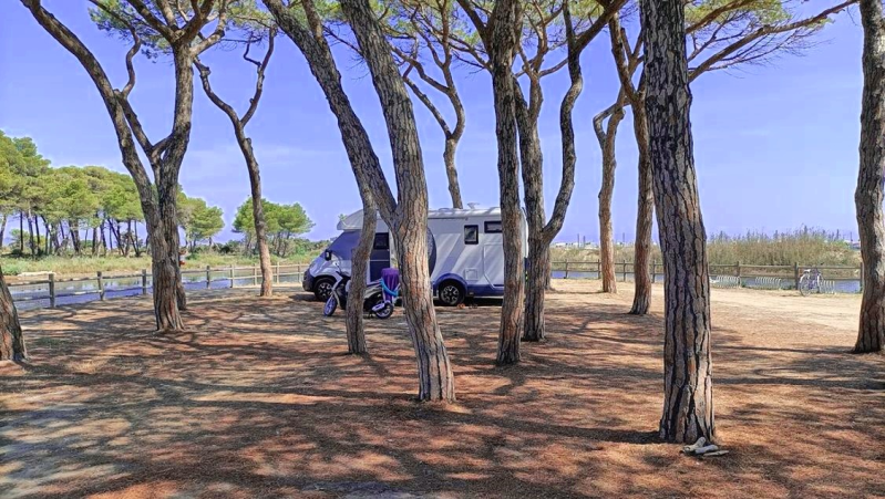 Images Ai Delfini - Sosta Camper, Spiaggia, Stabilimento Balneare, Bar, Ristorante