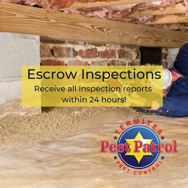 Images Pest Patrol, Inc.