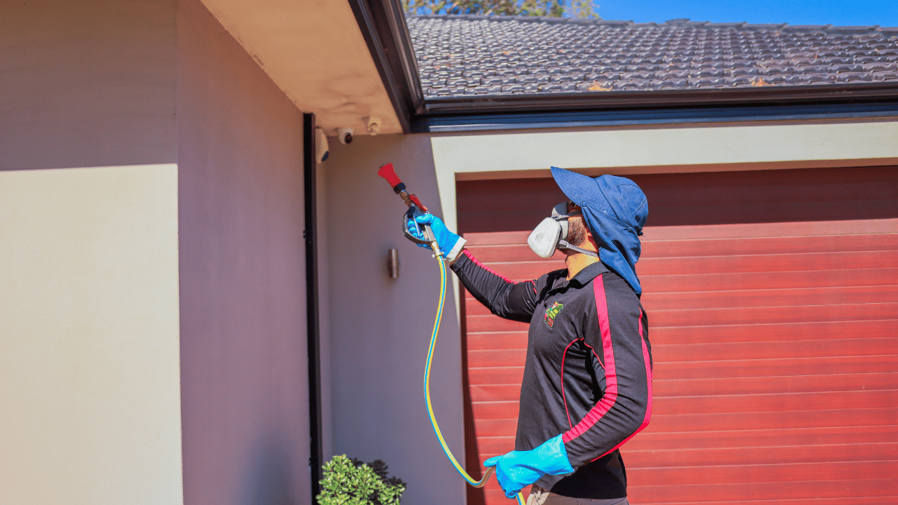 Loins pest & weed control Canning vale 0451 131 381