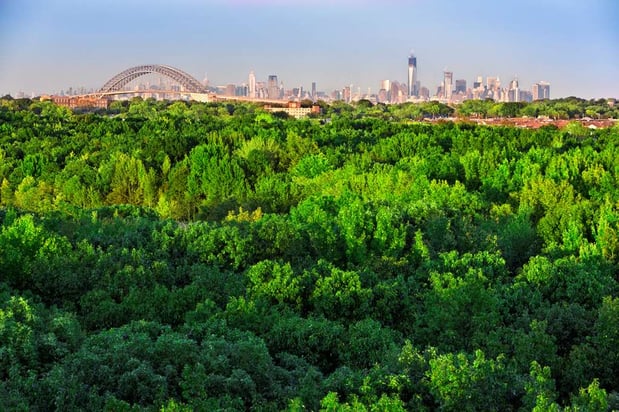 Images Hilton Garden Inn New York/Staten Island