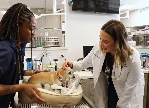 Images VCA Orange County Veterinary Specialists
