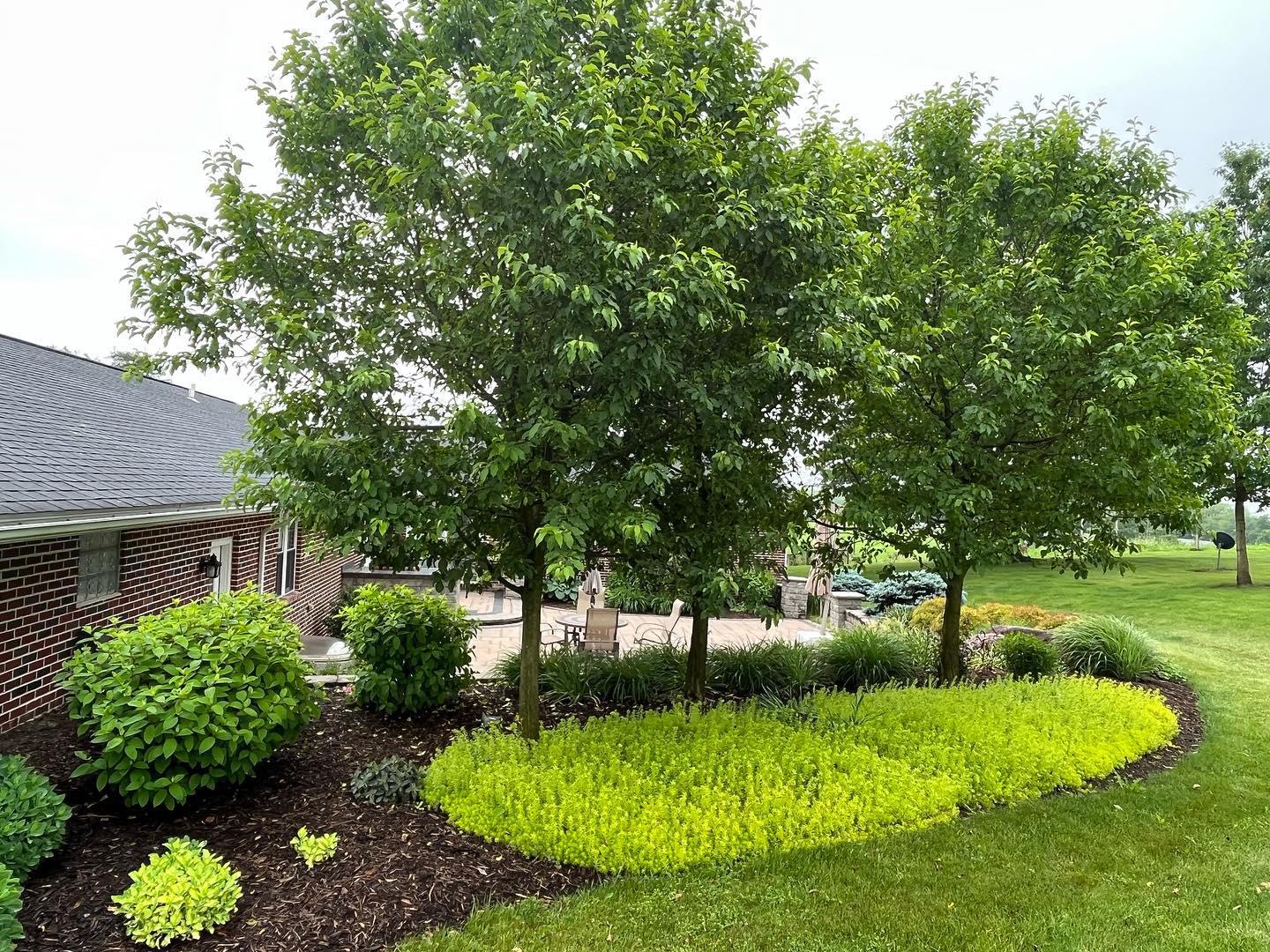 After receiving a landscape design construction degree, and interning with a landscape company in Oregon, he returned to Ohio to put his eclectic background to work.