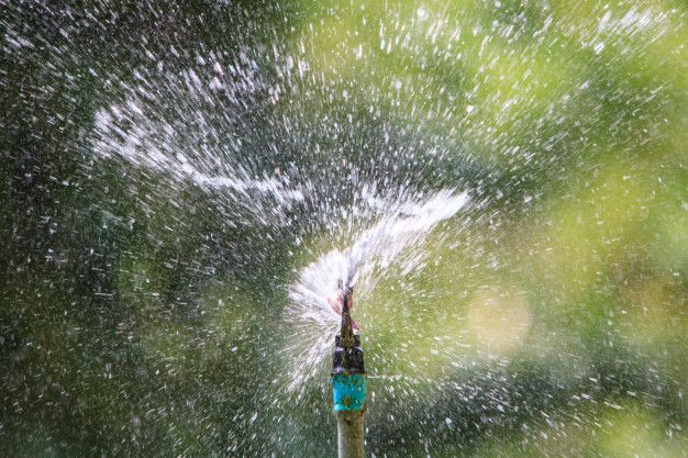 Images Zurzolo Leonardi