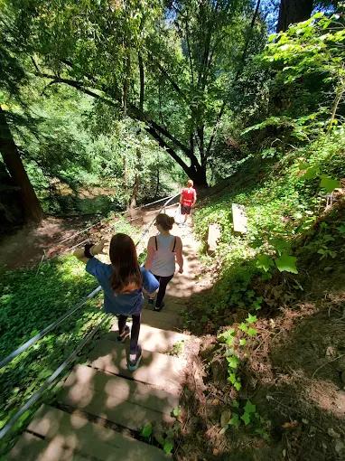 Images Santa Cruz Redwoods RV Resort