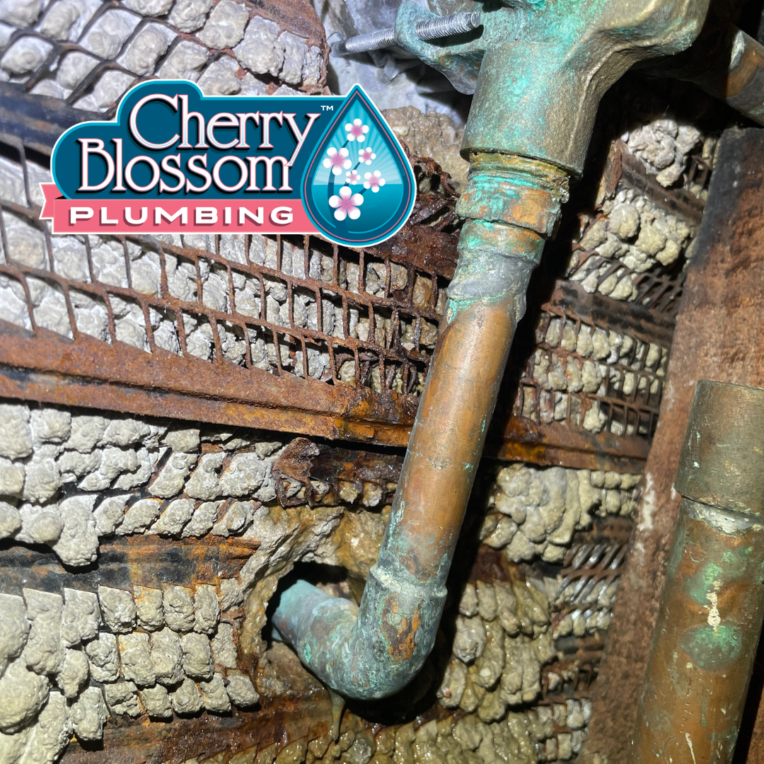 Cherry Blossom Plumbing Image