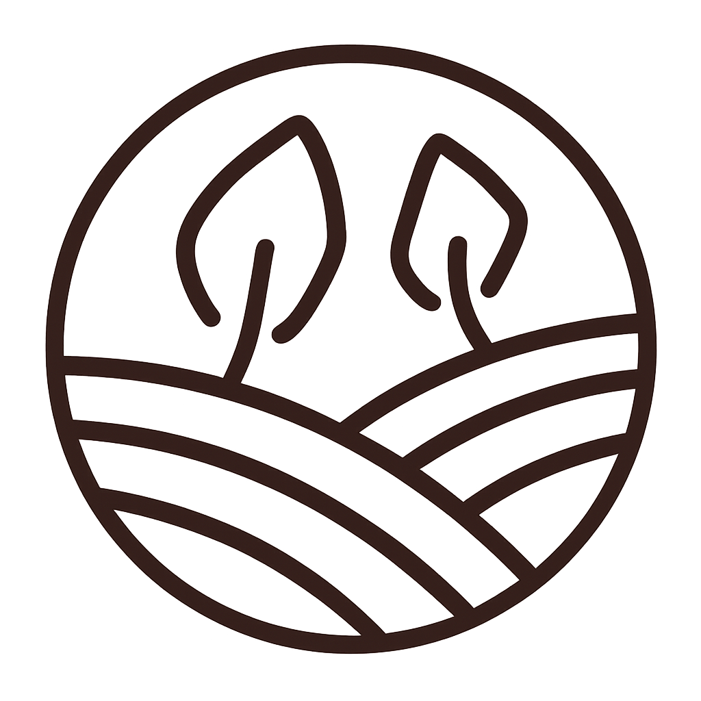 Gestalt-Raum Coaching in Dresden