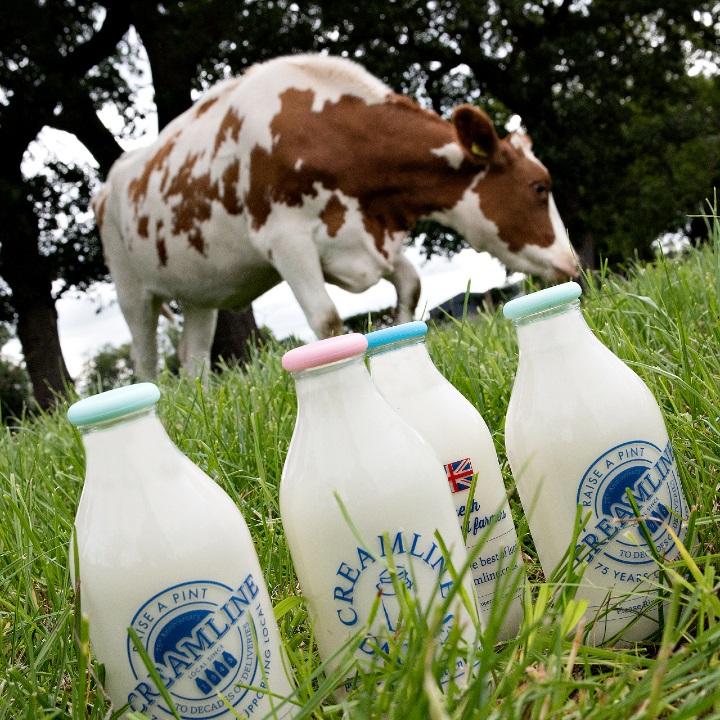 Images Creamline Dairies