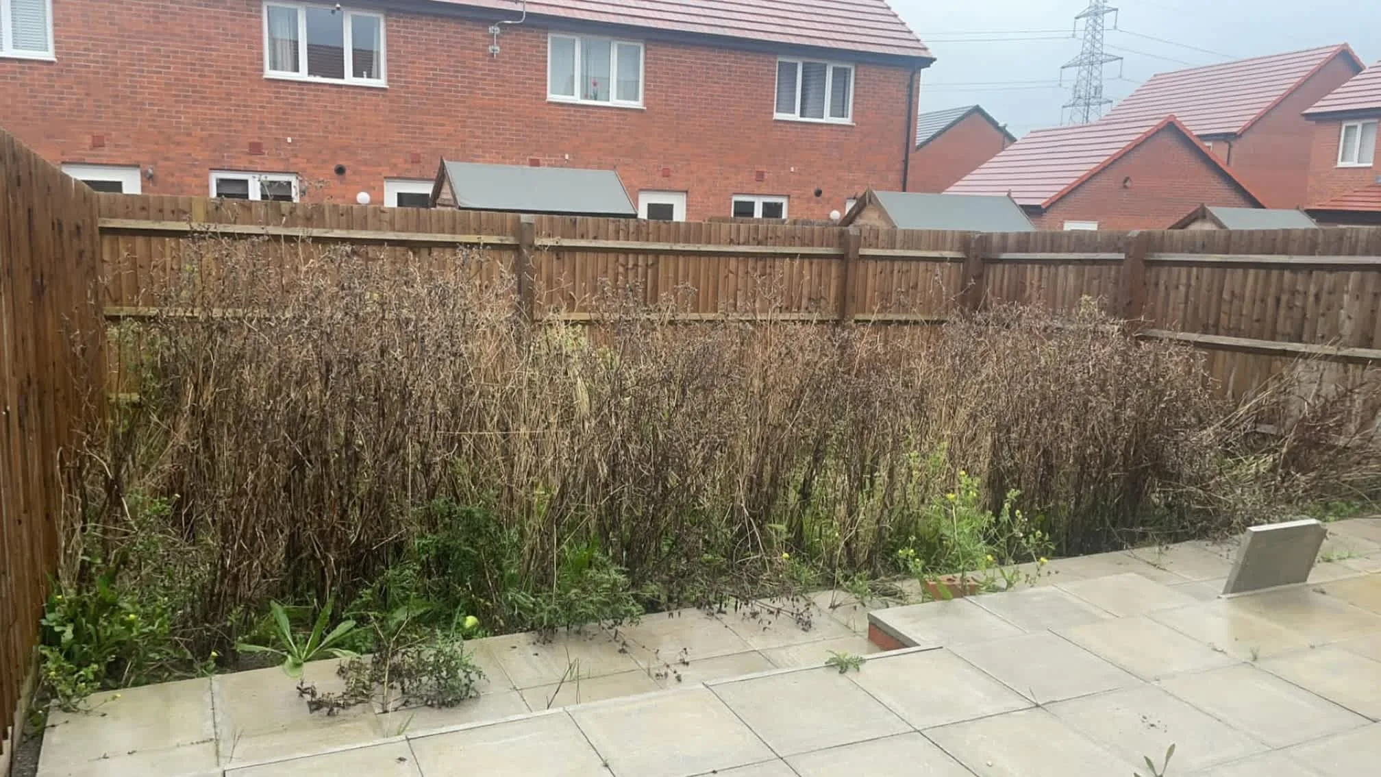 Images Oakwood Tree & Landscaping Services