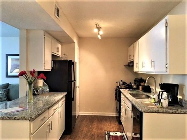 Images Springtree Apartments