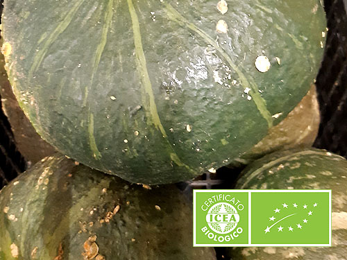 Images Ortofrutta Rigoni Graziella