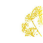 Blumengeschäft Toujours Plüss Logo