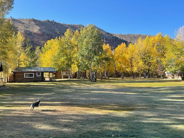Images CM Ranch