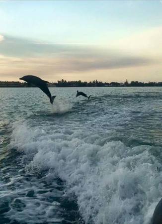Images CoastLine Dolphin & Snorkeling Excursions