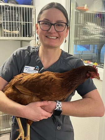 Images VCA Peone Pines Animal Hospital