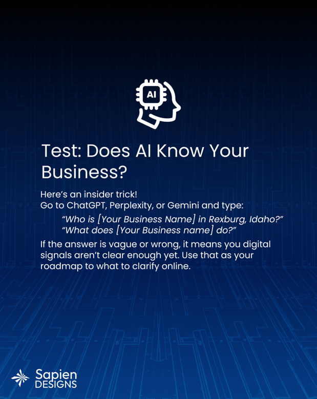 Images Sapien Designs SEO digital marketing hub