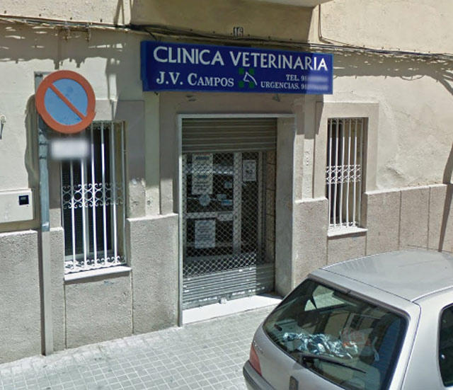 Images Clinica Veterinaria Amparo Beltran