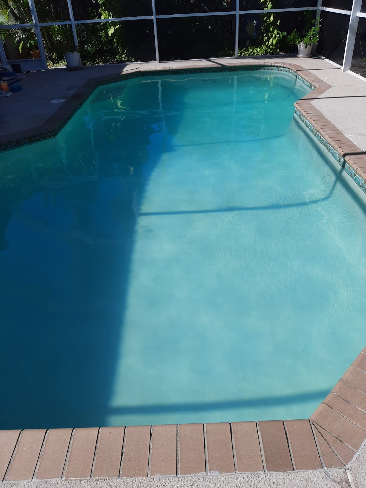Screen-enclosed residential swimming pool with clear turquoise water, light pool decking, and a shaded backyard setting.