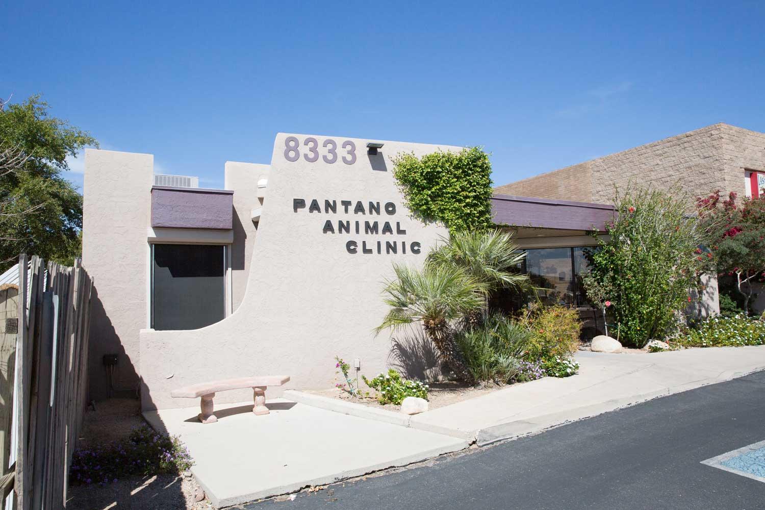 Pantano Animal Clinic, PC Photo