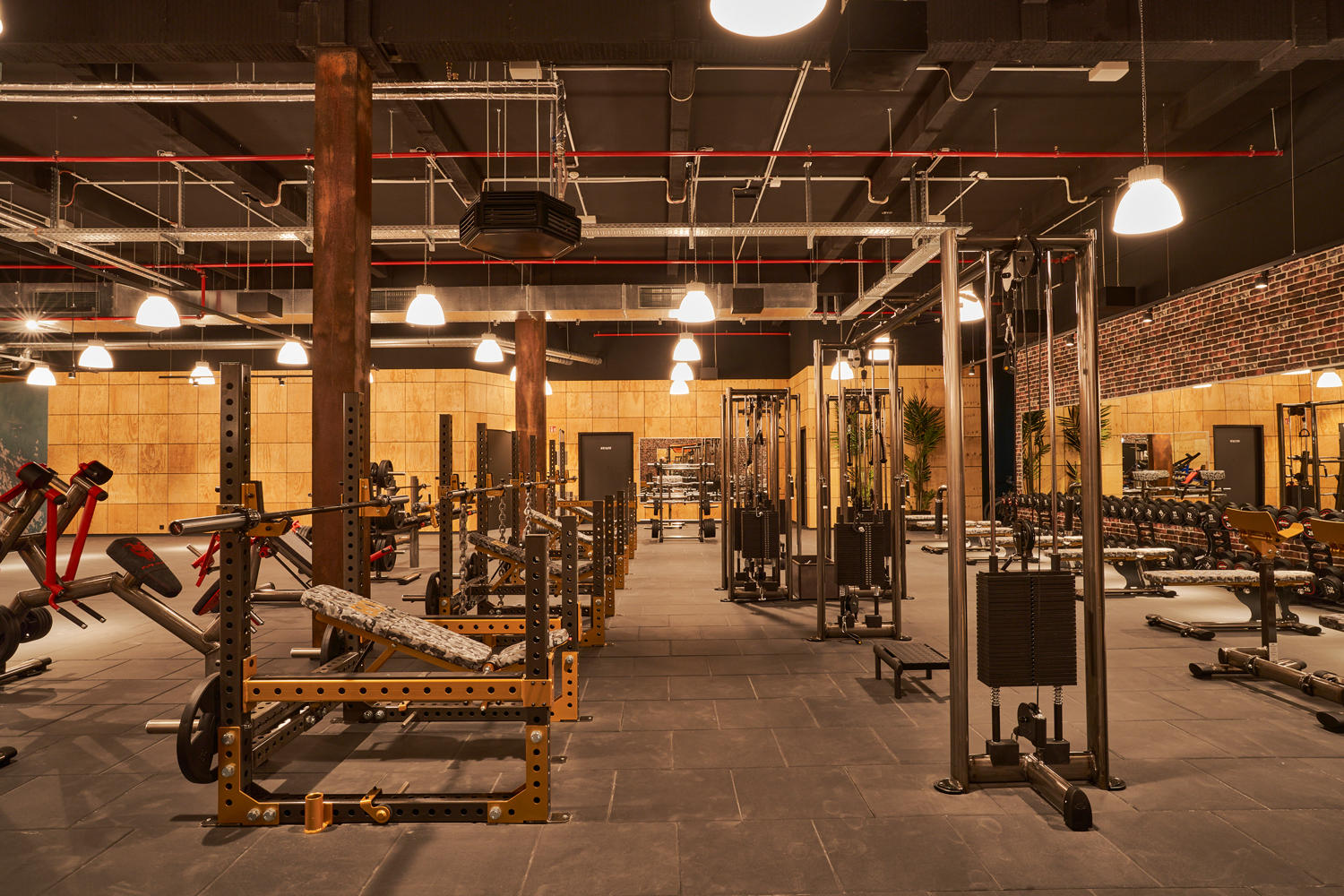 Bilder Gold's Gym Fitnessstudio Jena