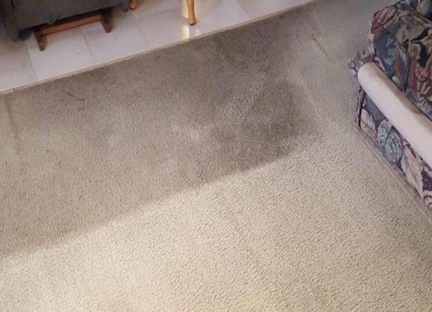 Images Carr's Rug Cleaning