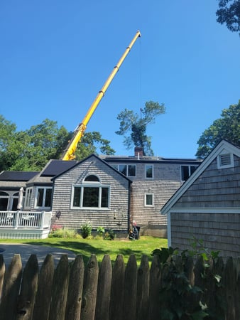Images Allscape Tree & Turf Services, Inc.